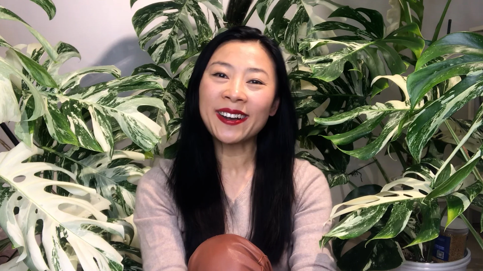 Capture d'écran tuto Youtube entretien Monstera