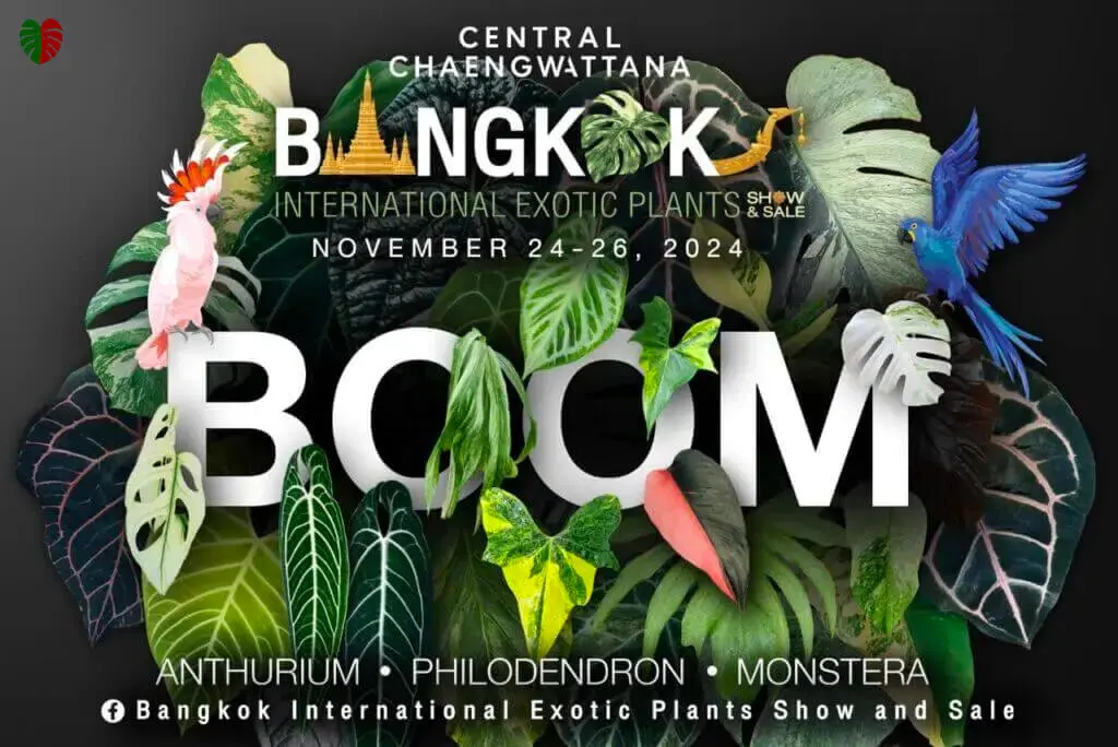 BANGKOK INTERNATIONAL EXOTIC PLANTS 8 FORMATO ORIGINAL 1024x684 logo