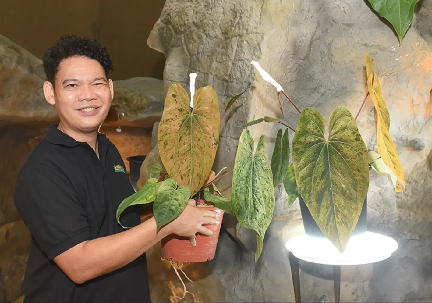 Bangkok International Exotic Plants Show & Sale : le paradis des plantes lovers à Bangkok 7 Bangkok Exotic plants Show2