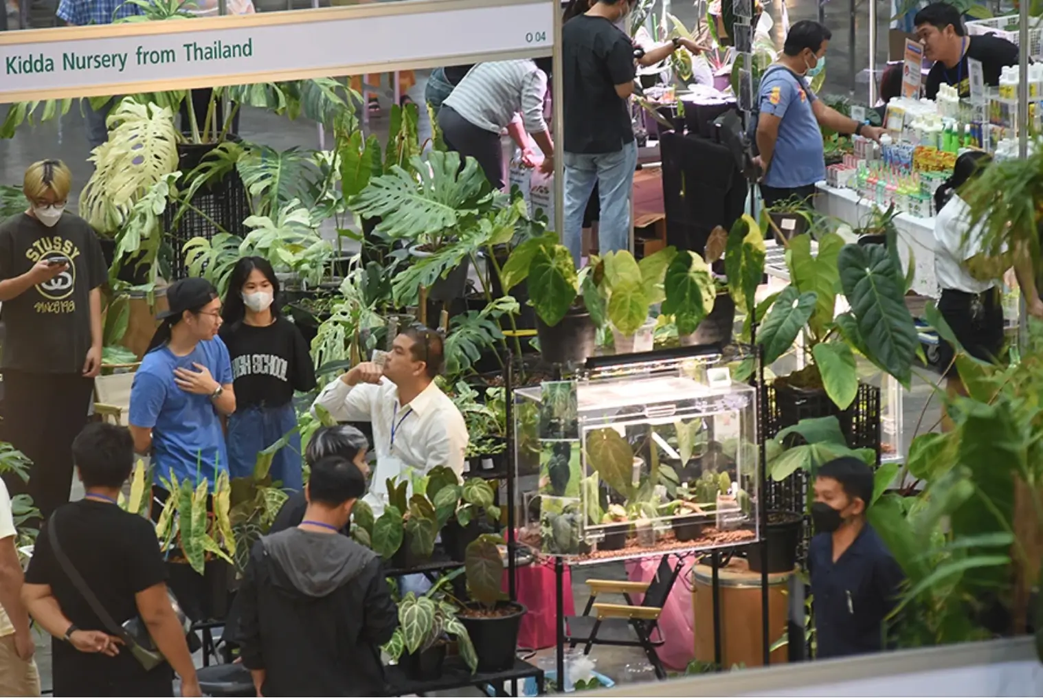 Bangkok International Exotic Plants Show & Sale : le paradis des plantes lovers à Bangkok 8 Bangkok Exotic plants Show3