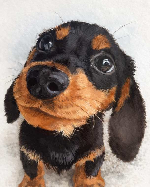 order Dog portrait de chien commande