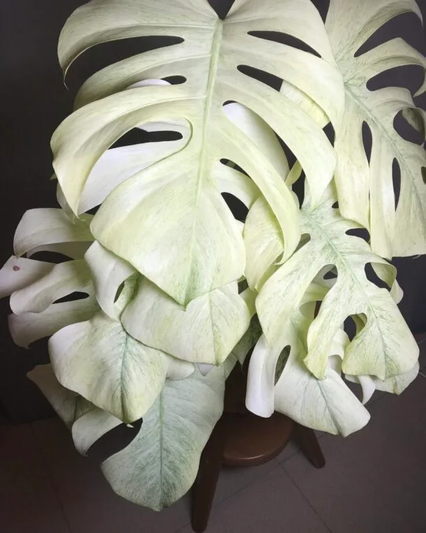 Accueil 23 D4901C66 E60C 46F3 BA80 7D4825877989 scaled