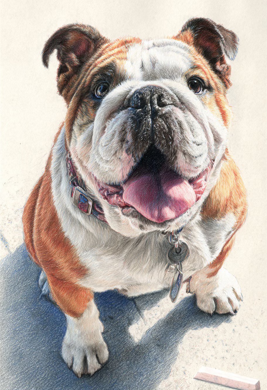 🎨 Portraits personnalisés de votre chien — sur commande 3 Dog portrait chien