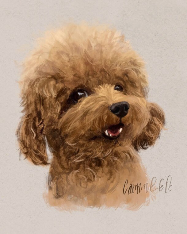 Dog portrait de chien
