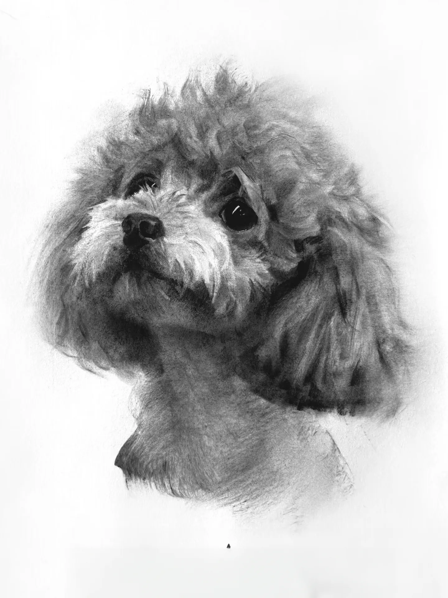 Portraits personnalisés de votre chien — sur commande 1 order dog portrait chien commande