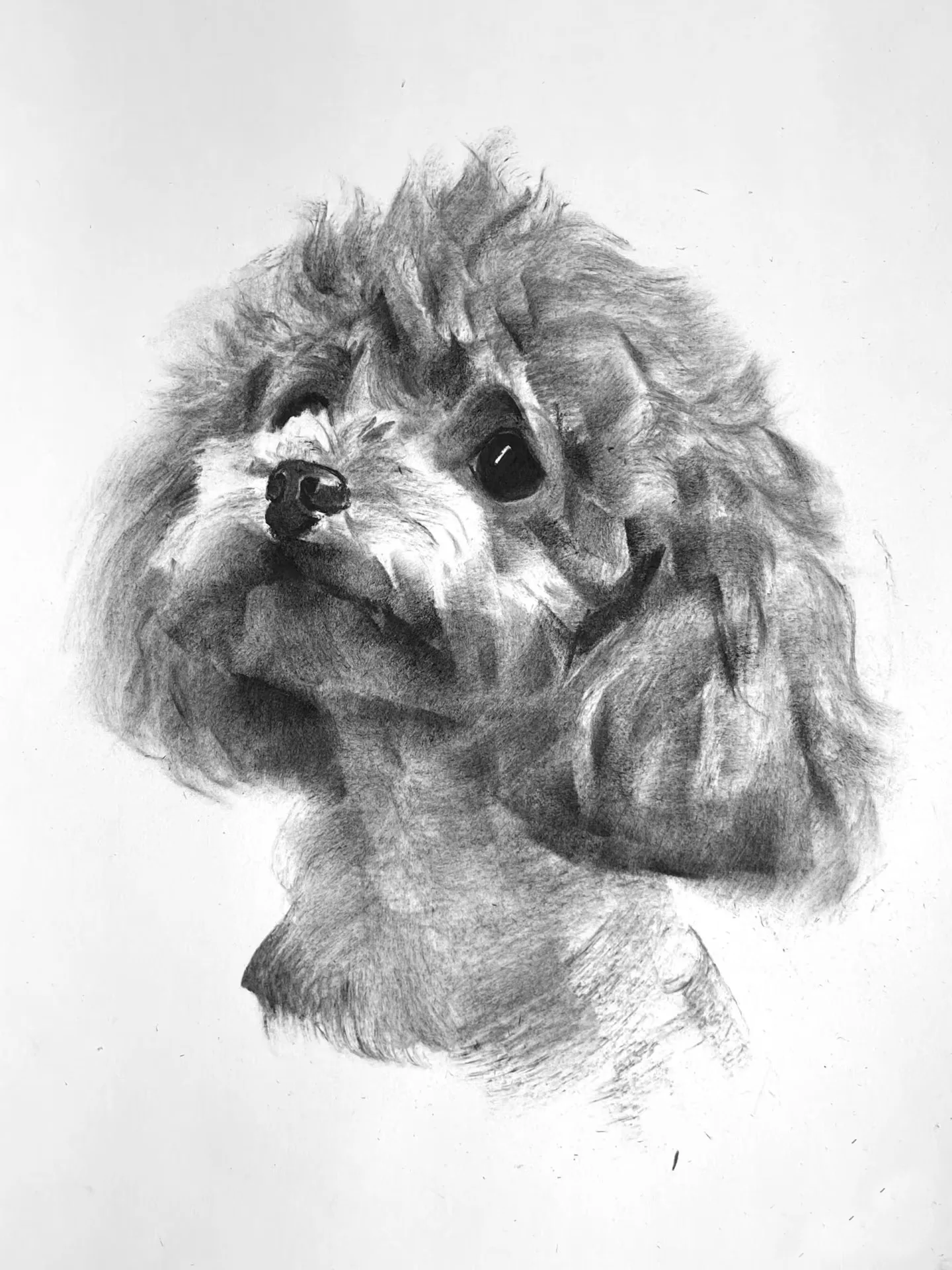 Portraits personnalisés de votre chien — sur commande 2 order dog portrait chien commande