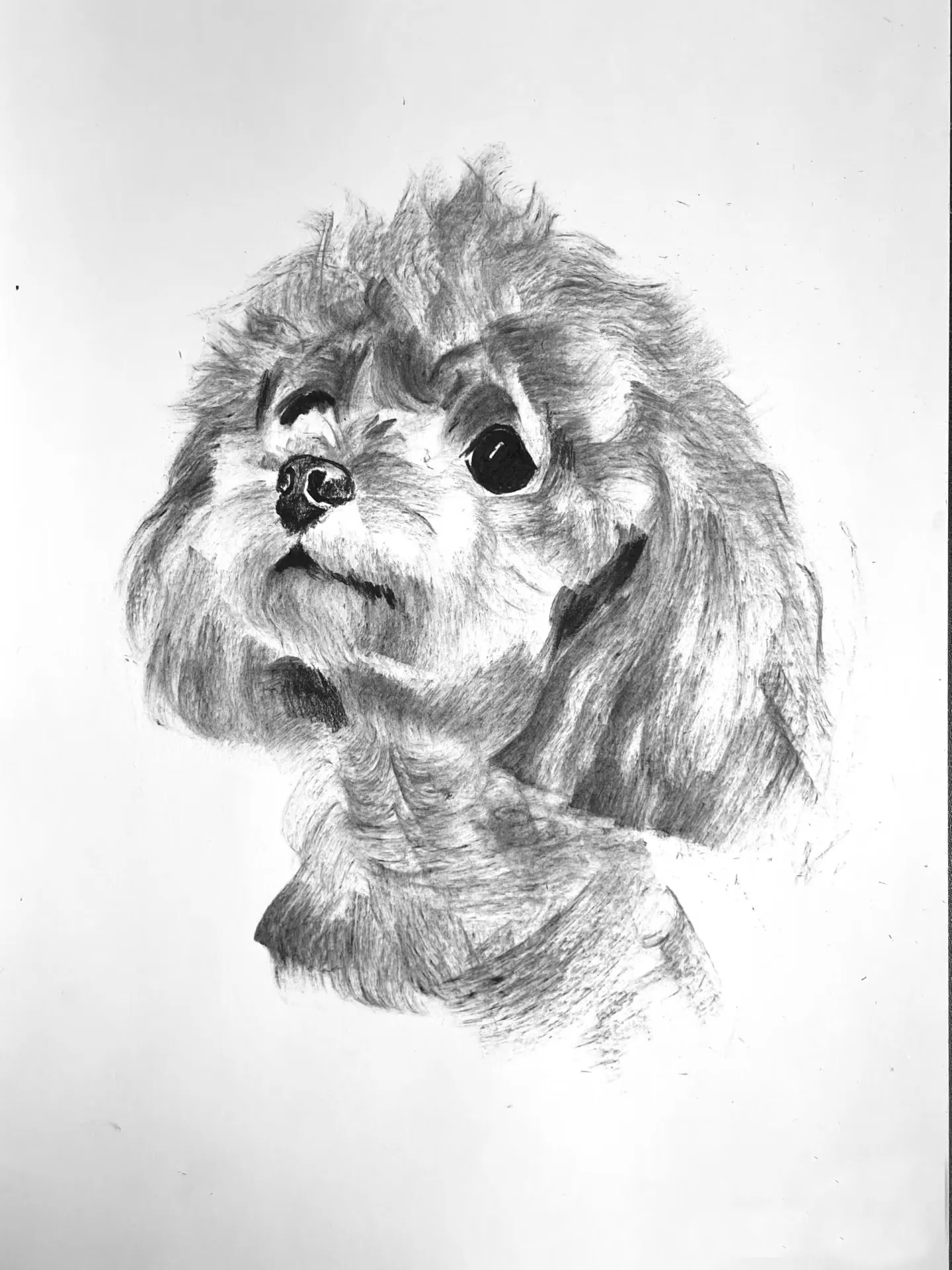 Portraits personnalisés de votre chien — sur commande 3 order dog portrait chien commande