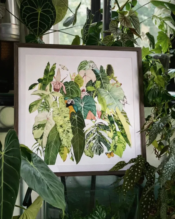 Aquarelle botanique sur commande