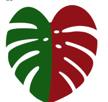 cropped Capture decran 2024 09 20 a 15.16.05 1