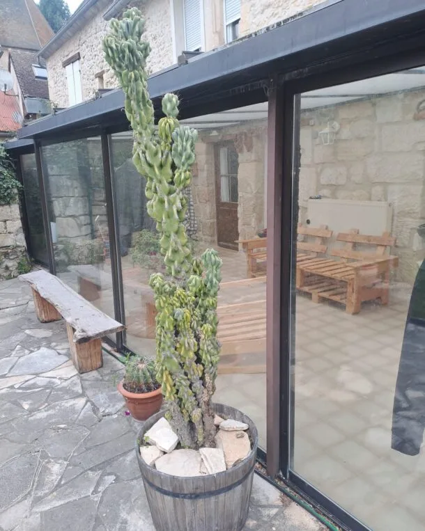 cropped IMG 20251019 WA0000