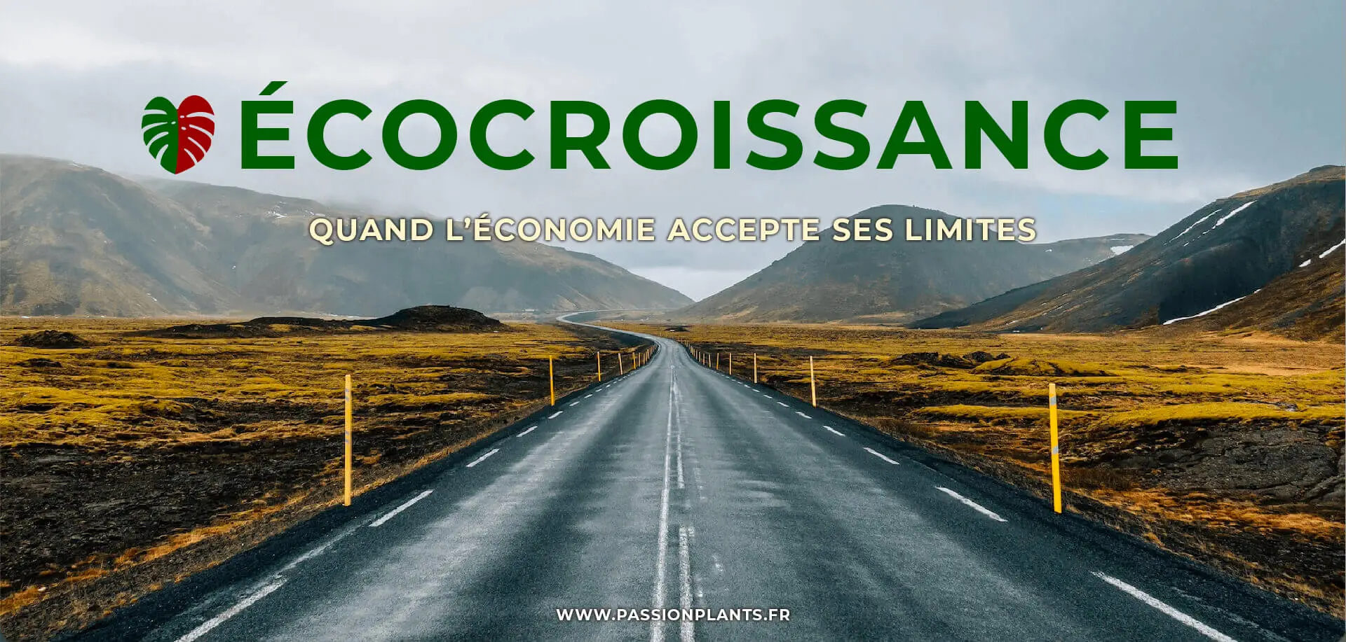 ecocroissance banner