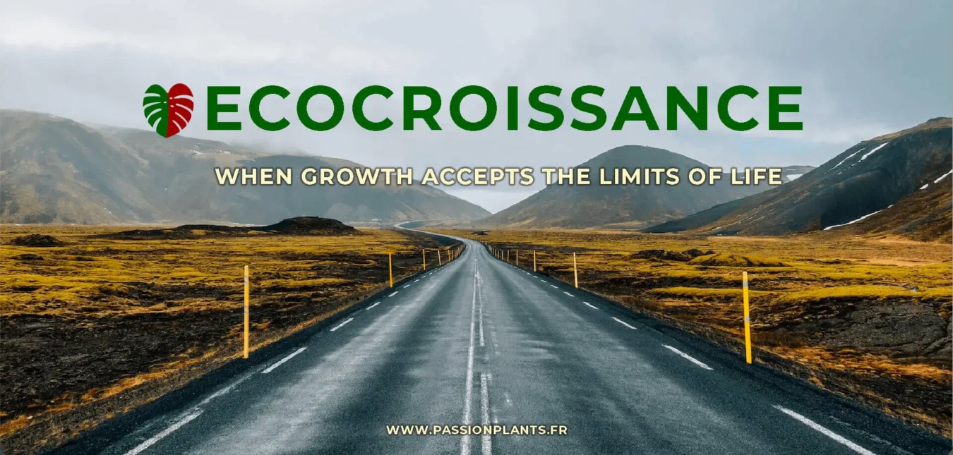 Ecocroissance English Version