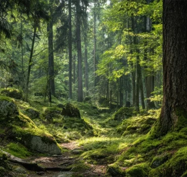 Quand nos systèmes deviennent incompatibles avec la vie